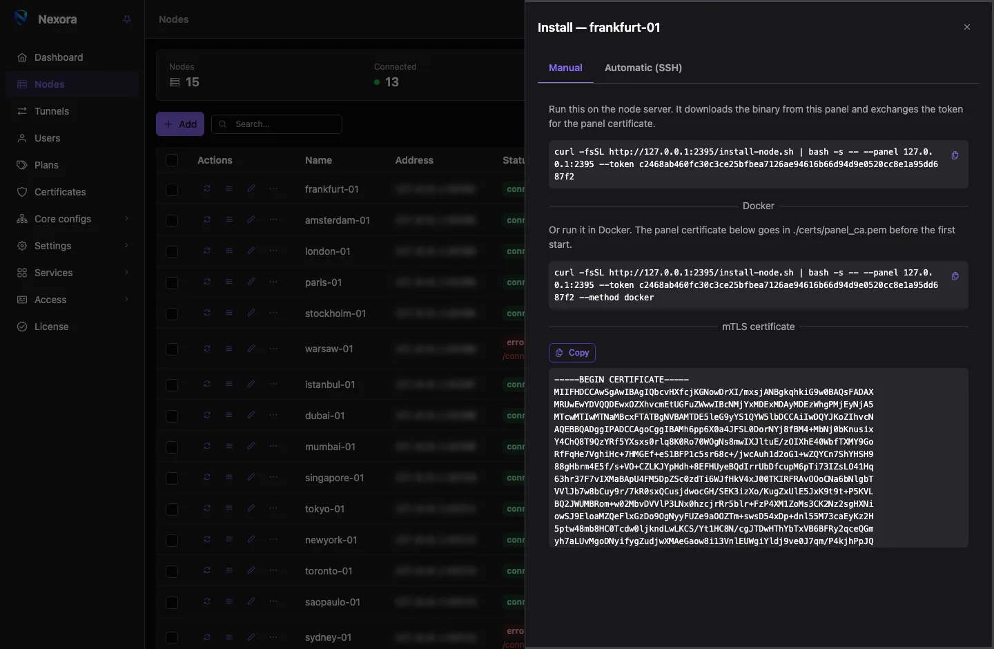 A node's Install drawer: the Manual tab with the install command and the Automatic (SSH) tab