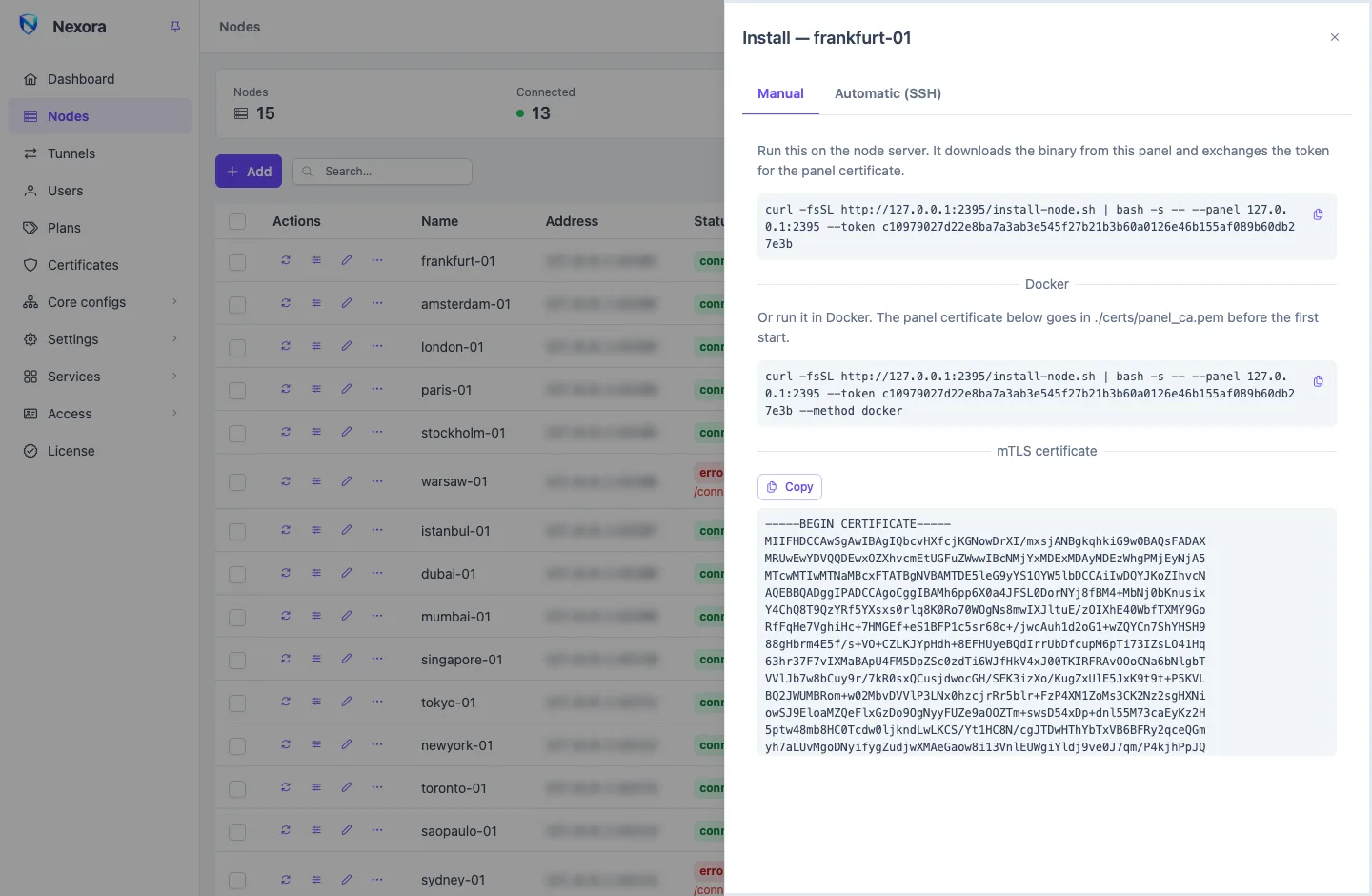 A node's Install drawer: the Manual tab with the install command and the Automatic (SSH) tab